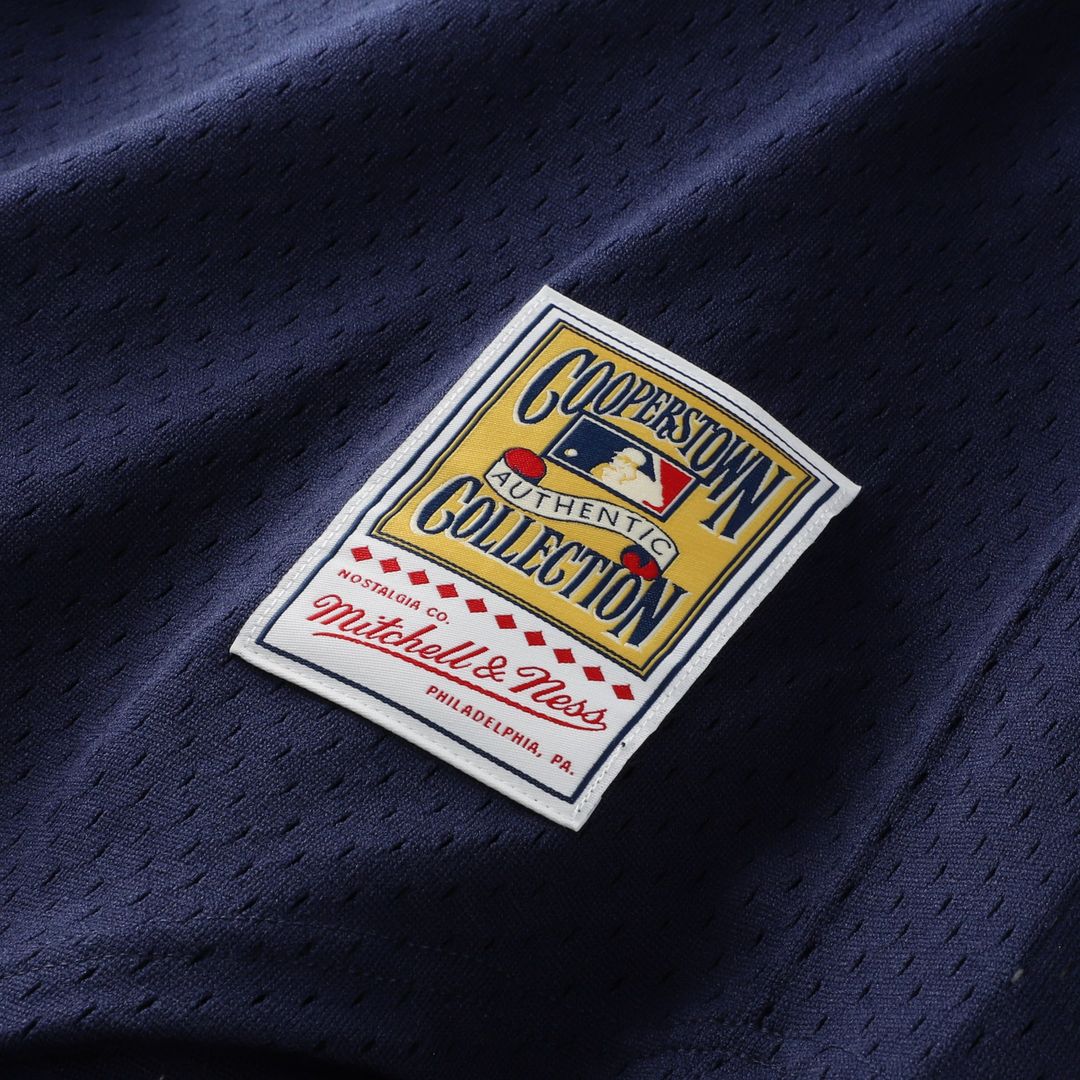 Detroit Tigers Alan Trammell Mitchell & Ness Authentic Batting Practice Jersey - Navy