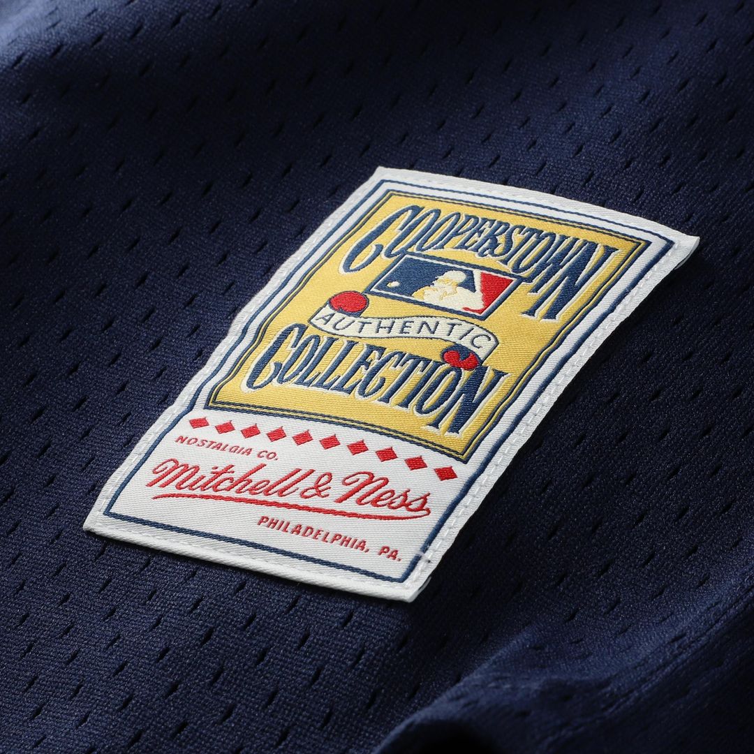 Chicago White Sox Carlton Fisk Mitchell & Ness Authentic Batting Practice Jersey - White