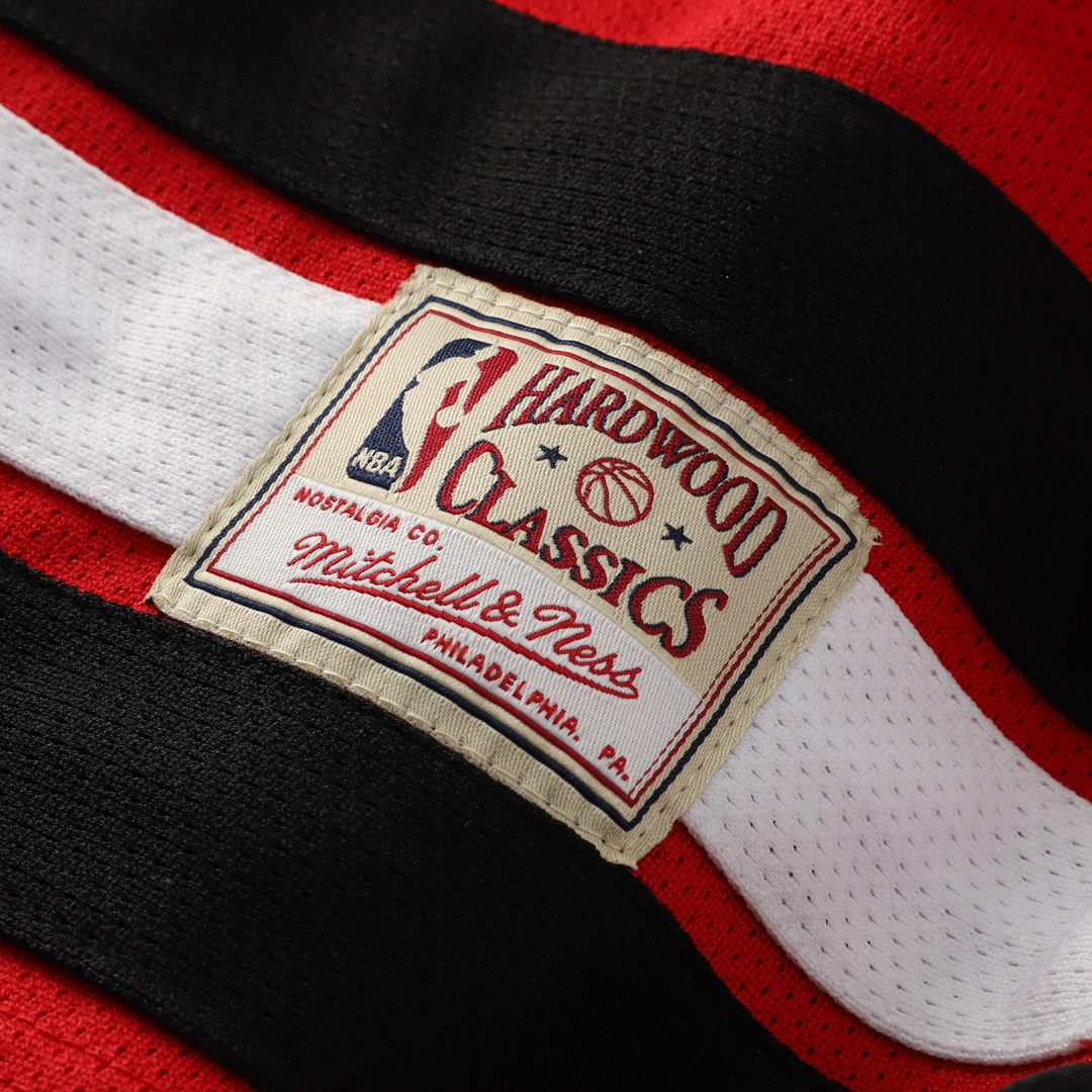 Chicago Bulls Dennis Rodman Mitchell & Ness Big & Tall NBA Hockey Jersey - Red